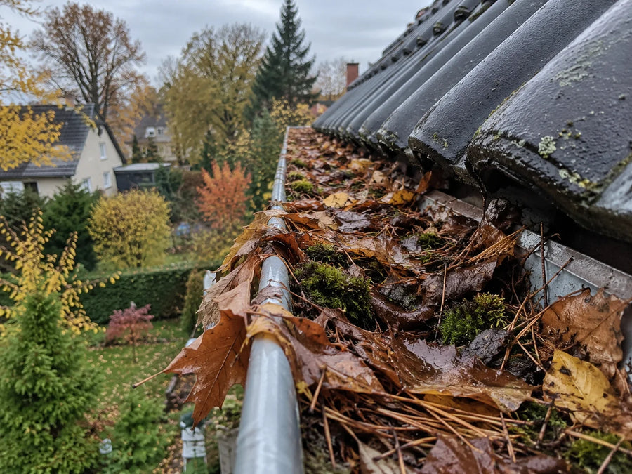 Dachrinne vor der Reinigung